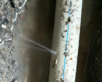 嘉兴卫生间测漏水多少钱